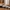 cooking spoons / scoops 5 sizes