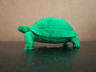 Tortoise