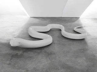 snake