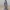 Saint Anselm of Lucca - Devotional Statue
