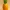 Low Poly Pineapple 3D Model