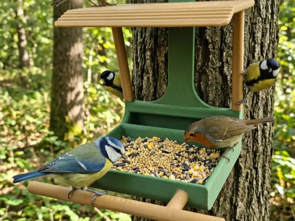 Schattige Vogelvoederbak