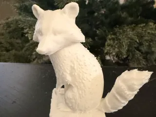 Racoon 1