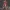 Attack on Titan - Titan Model Statue or Miniature Set