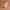 Cute Squirrel – Woodland Animal Figurine