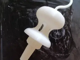 wasp exterminator