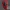 full faceshell de deadpool
