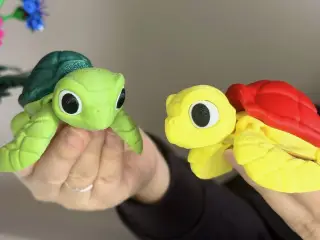Terry’s Bubble Trouble