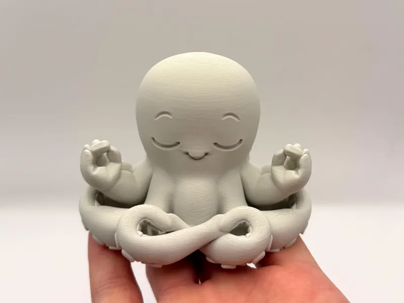 Polvo em Meditação