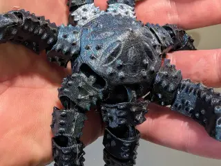 Flexible Starfish - Sevenflex
