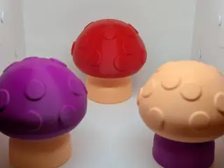 Secret Stash Mushroom Box