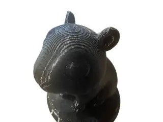 Cute Capybara