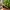Herb Garden Markers - 8 Plant Labels, Flat Print - CC0