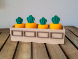 Carrot Seed Storage-0