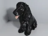 Cachorro Cocker Spaniel-0