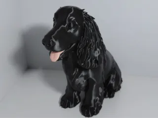Cachorro Cocker Spaniel