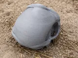 Bonobo Skull-0