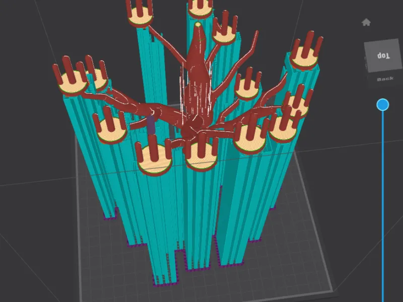 money tree