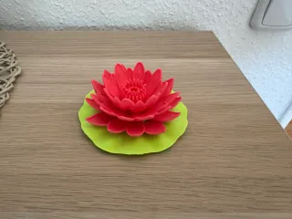 Seerose