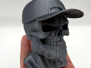 Beard Skull Bust