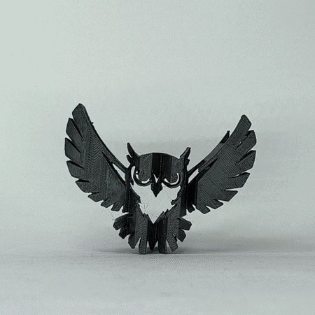 Text Flip - Wise Owl