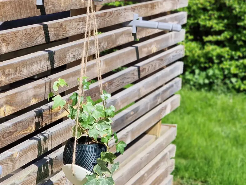 Railing-mounted plant hanger