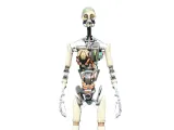 Droid Skeleton-0