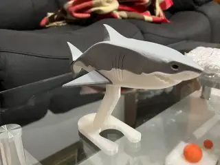 Shark