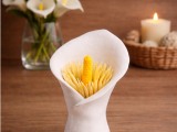 Toothpick organizer 🌺-1
