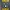 Milwaukee Brewers Brew Crew Mosaico de Preenchimento 3D