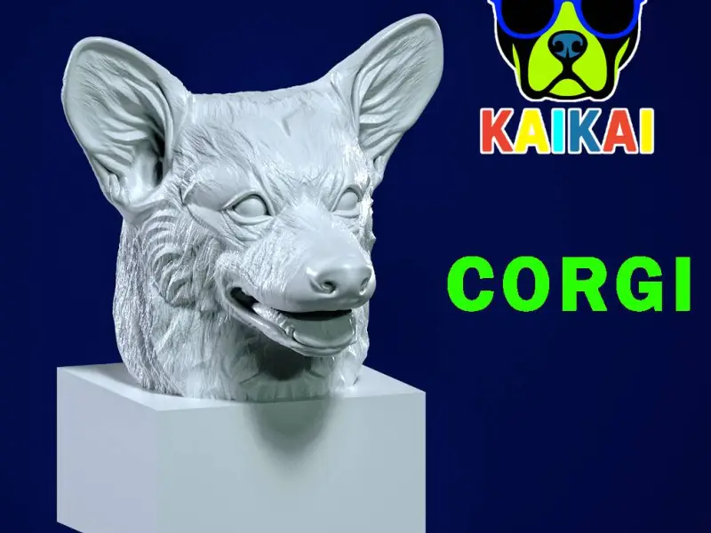 Head References Pembroke Welsh Corgi model - 3D print
