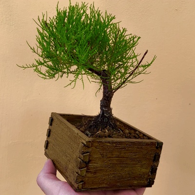 Scatola con texture in legno / Vaso da fiori - Giunzione a coda di rondine aperta