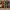 🎃 Spooky Reads – 5 Multicolor Halloween Bookmarks