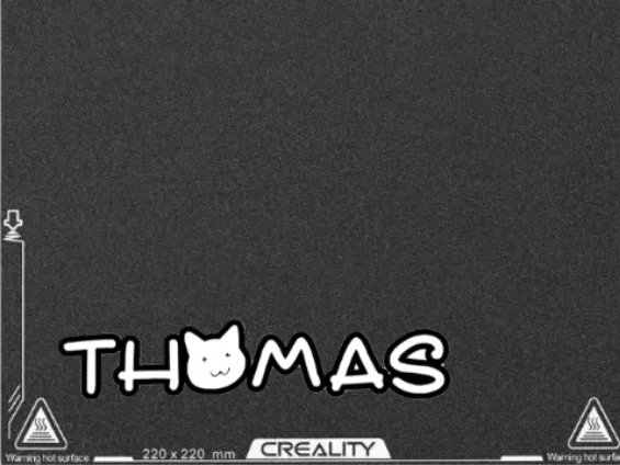 Thomas cat