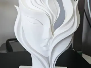 Face Flame