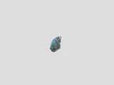 Fish-0