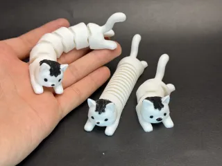 弹簧猫