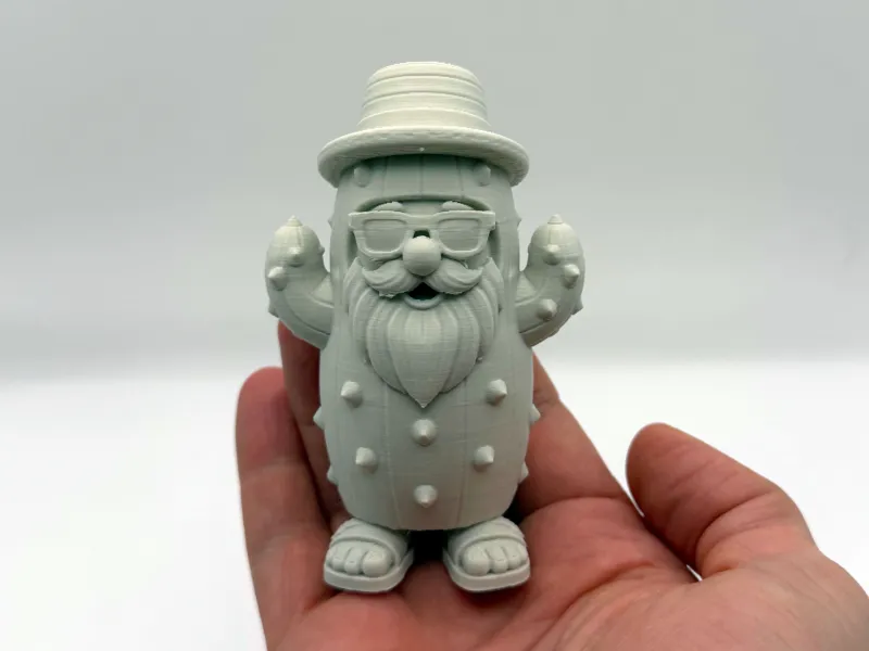 Cacti Dressed Gnome