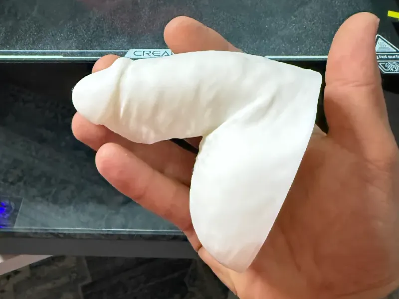 3d Scanned Penis and Mold (Soft)