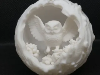 owl in orb