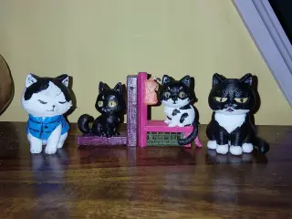 cat collection