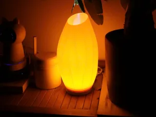 Modern Table Lamp Decor| 8 x 22cm | ~2 hour print
