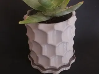 Eclipse Planter