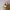 Xiaomi Camera Dog Ears - MI HOME Security Camera 360 1080P