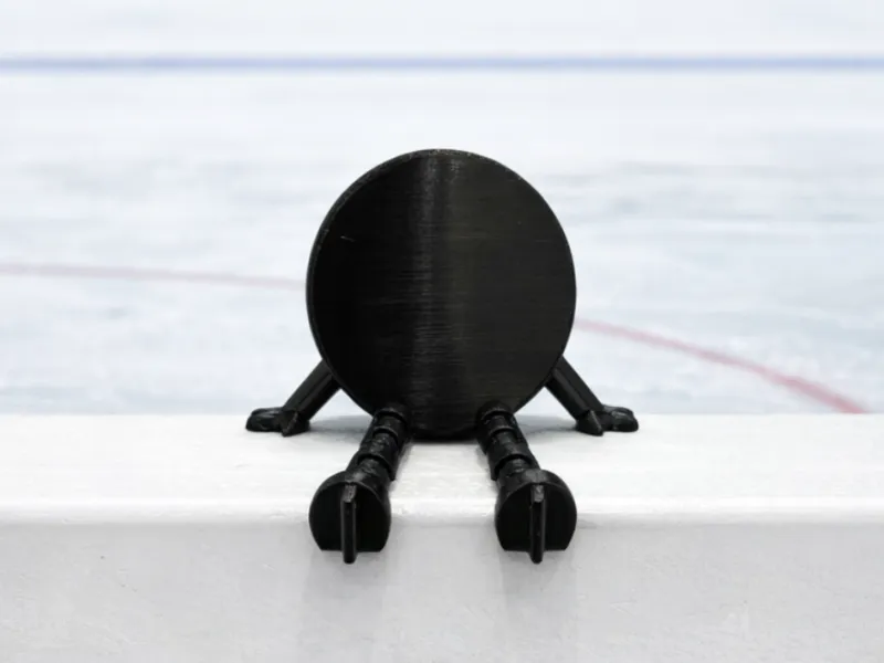 Compañero Flexi de Disco de Hockey (añade un logotipo o texto en el laminador)