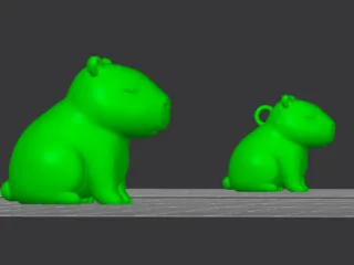 Cute Capybara