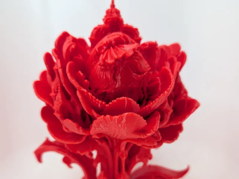The Blushing Peony 
