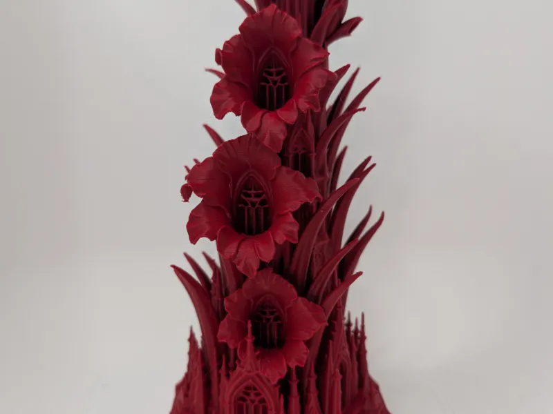 Crimson Cathedral Gladiolus 