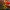 Minecraft TNT 貯金箱