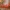 Dekorativer Name „Maria“ mit Blume und Herz | 3D-Deko